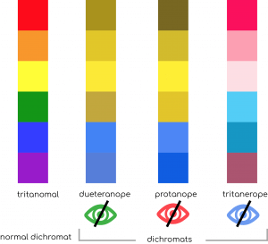 What is color blindness?