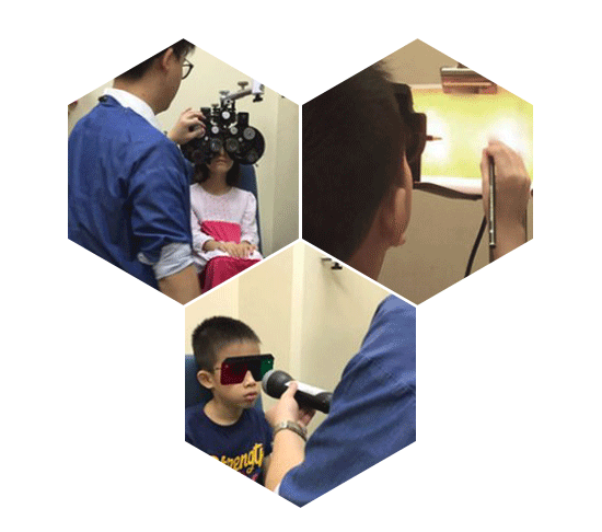 Neuro-Optometric Rehabilitation